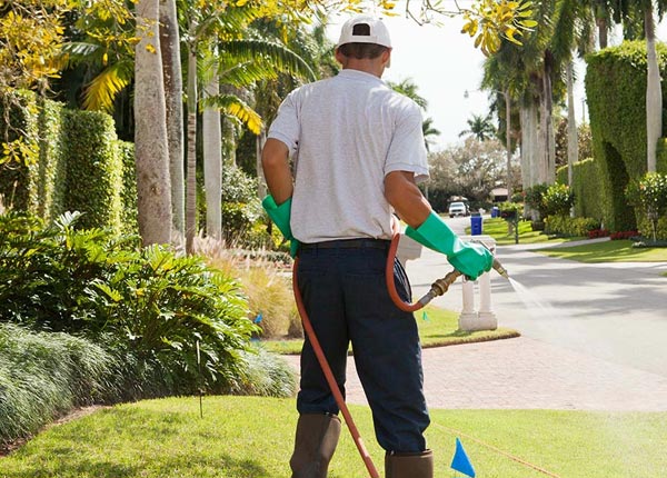 About American Canyon CA Pest Control
